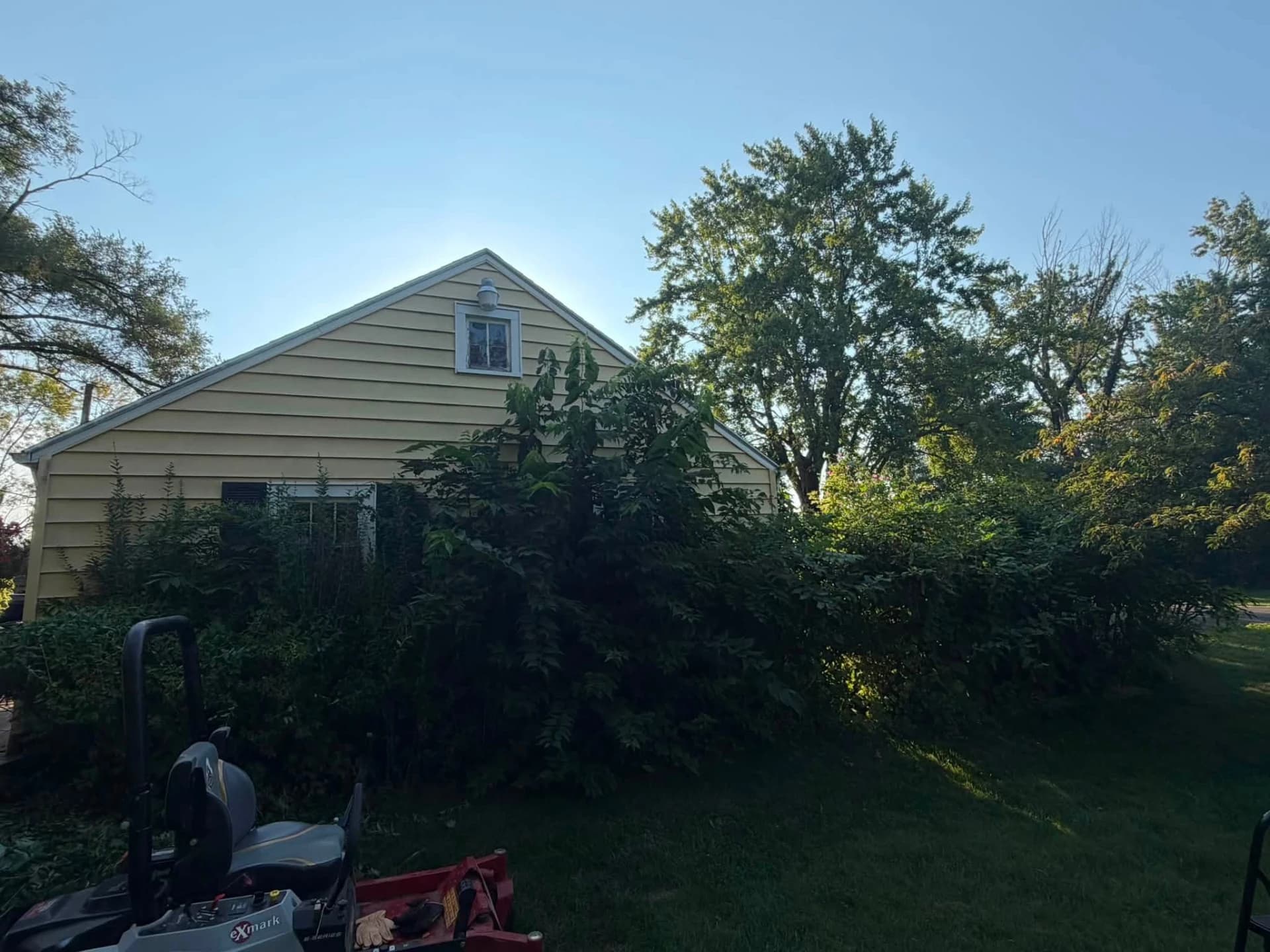 Overgrown frontage trimmed and cleared — before